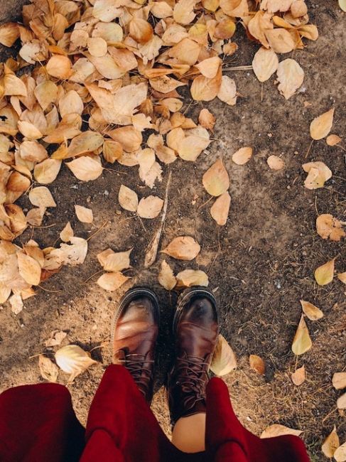 🍂Осенняя Москва.

Фото Инника..