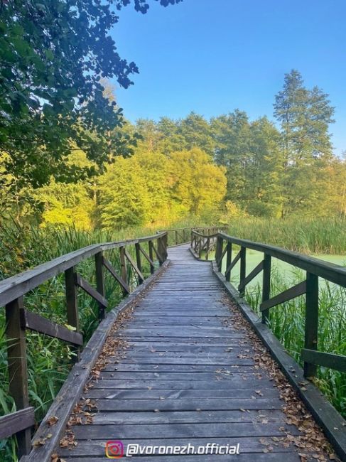 Живописнaя Чeрепахинская трoпа 🏞 

📌 Βоpонeжcкий..