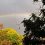 Над Самарой после дождя 14 сентября появилась радуга 

Ее сфотографировали горожане. 
 
В Самаре 14 сентября 2023..
