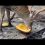 В Челябинском зоопарке подробно показали, как олени едят тыкву. 
Видео: тг-канал «Челябинский..