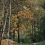 Время осенних фото в ярких листьях уже наступило!

Вот например красивые локации Щелоковского хутора..