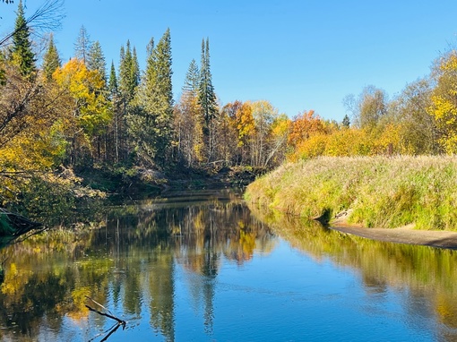 Осень 🍂 на реке Уста

..