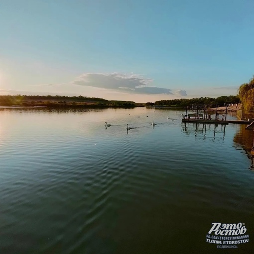 🦚🦜 Южный парк птиц Малинки 

📍Ростовская область, Красный Сулин (ПСХ Соколовское) 
Координаты: 47.748089,..