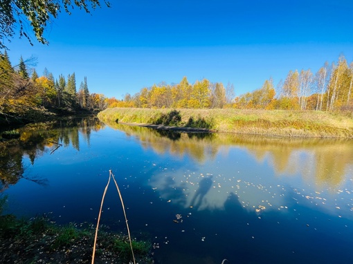 Осень 🍂 на реке Уста

..