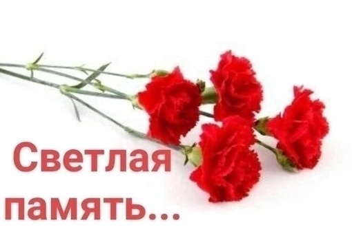 🕯️ 15 лет назад — 14 сентября 2008 года самолёт Boeing 737-505 при заходе на посадку рухнул на землю в 11 километрах от..