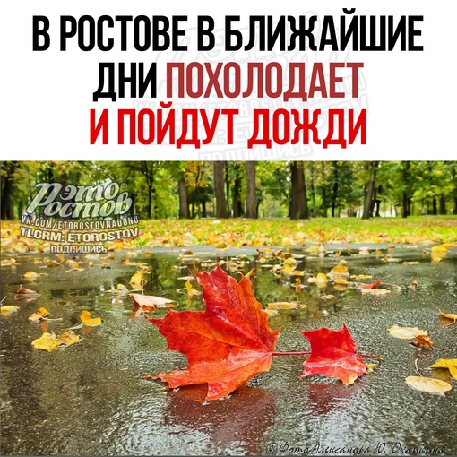 🌧 В Ростове ожидаются дожди. Осадки обещают уже днём 15 сентября. Воздух прогреется до 19 градусов. 
 
📌 16..