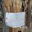 В Дзержинске на Попова на акцию «вышли» деревья, они очень просят их не рубить.

Правда осталось их всего..