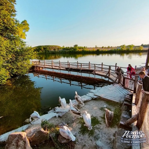 🦚🦜 Южный парк птиц Малинки 

📍Ростовская область, Красный Сулин (ПСХ Соколовское) 
Координаты: 47.748089,..