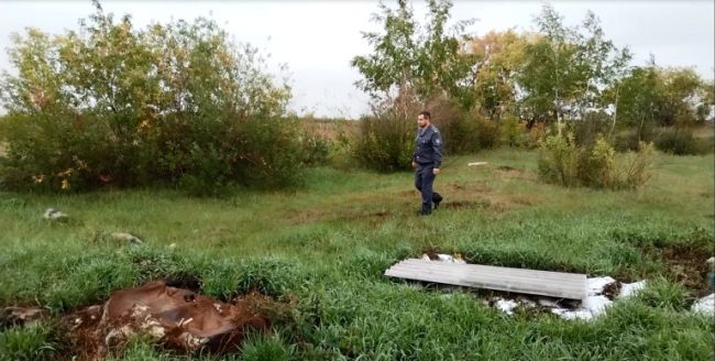 На участке сельхозназначения в Омской области обнаружили разложившиеся трупы и розовый порошок

В сентябре..