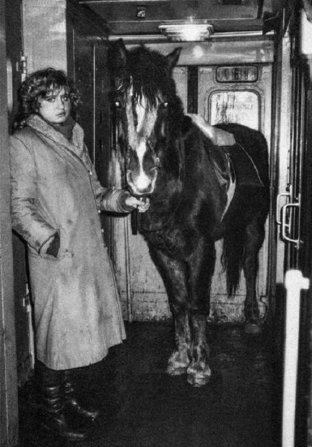 Женщина везёт лошадь в электричке на Ораниенбаум. Фото Владимира Столярова, зима 1994..