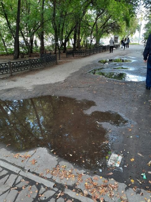 Дорога к знаниям. Прогуляться от остановки " Малунцева" ( бывш. " Советский райисполком") до второго корпуса..