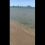 Весть пляж сегодня с утра в Анапе для одной маленькой собачки. 

Никого нет, вода прозрачная и..
