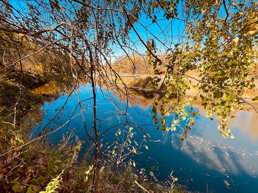 Осень 🍂 на реке Уста

..