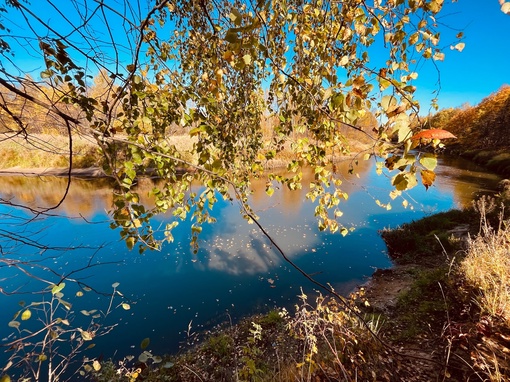 Осень 🍂 на реке Уста

..