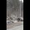 ‼️Сегодня около 5 утра на трассе Кукуштан — Чайковский произошло ДТП.

Водитель автомобиля «Шкода» 1991 года..
