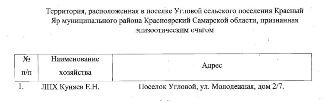 В 42 километрах от Самары ввели карантин из-за неизлечимого заболевания 

Под ограничения попали еще три..