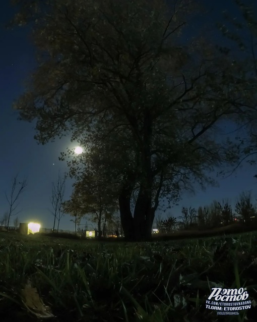 🌖 Лунная ночь в парке Первая миля за зоопарком. Освещения здесь мало, зато можно понаблюдать за..