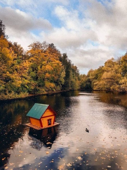 🍂Островки осени на Воробьевых..