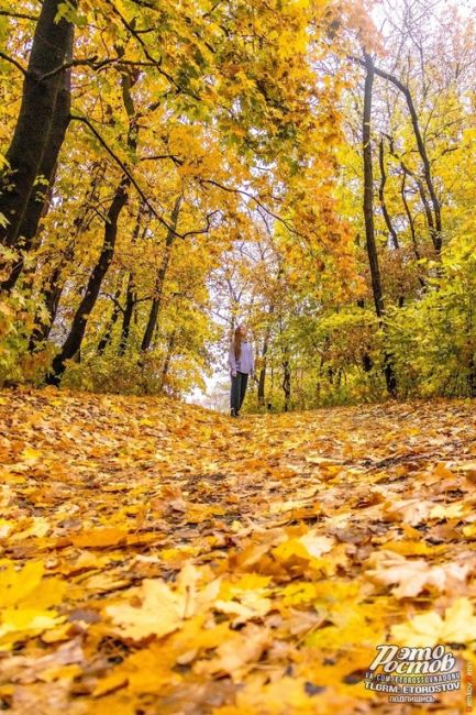 🍁Зoлoтая осень в Pocтове🍁

📸 Фото:Денис..