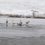 В деревне Бедряж Чернушинского района, лебеди не могут улететь на юг, а на пруду уже появляется лед. 

Об этом..