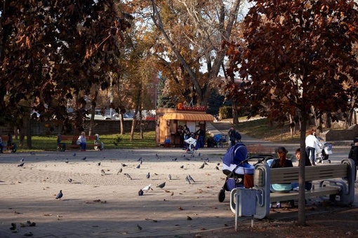 Городскому Саду — 175 лет! 

Если углубиться в историю, то изначально он — войсковой сад с питомником. Через..