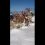А в горах Сочи уже зима.

Видео снято на высоте 2 200 метров.

Кто уже навострил лыжи и..