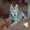 Под Новосибирском спасли щенка от пыток хозяев-живодёров

— Брат шёл с магазина и увидел, как щенка держат на..