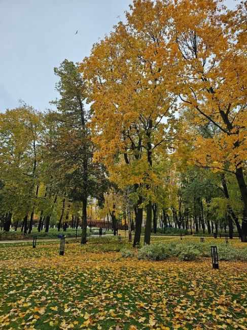 Все ещё золотая осень в парке Орленок...