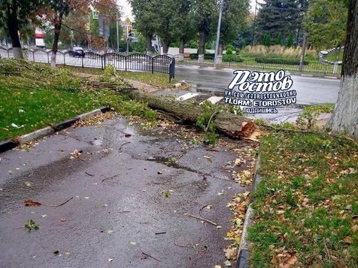 ⚠🌳 Последствия сильного ветра в Ростове. Повалило десятки деревьев, лавочки, дорожные знаки. Давно такого..