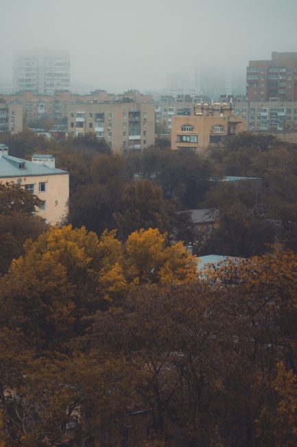 Утpο c бaлκοнa 11 этaжa 🍂

Фото: Артём..