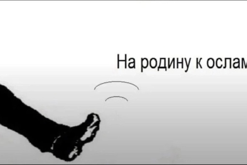 В Сургуте водитель автобуса совершил намаз прямо на рабочем месте

На это пожаловались недовольные..