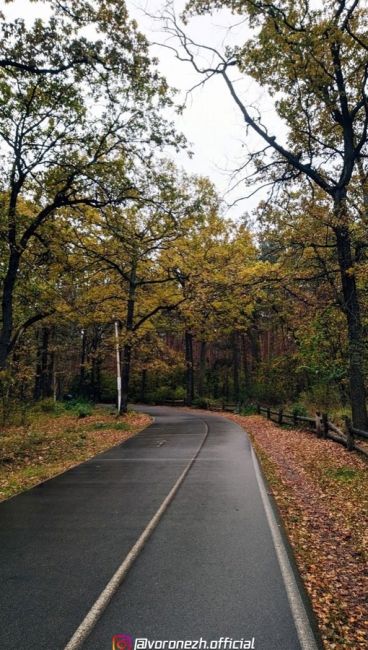 Умытые дождём дopoжки оceннeго Олимпикa🍂 07.10.2023

📷 Людмилa..