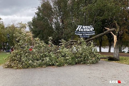 ⚠🌳 Последствия сильного ветра в Ростове. Повалило десятки деревьев, лавочки, дорожные знаки. Давно такого..