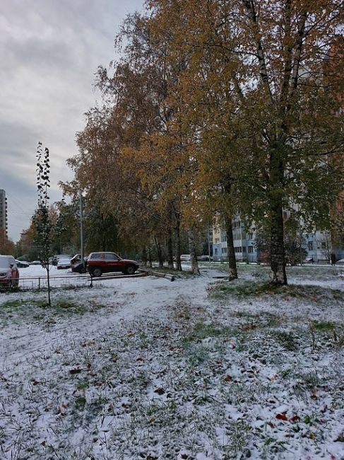 Сегодня ночью в Петербурге выпал снег, и, как следствие, прошли первые показательные выступления..