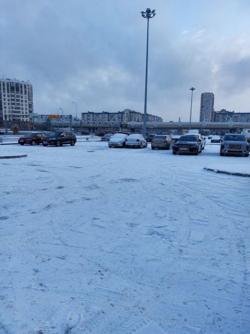 Сегодня ночью в Петербурге выпал снег, и, как следствие, прошли первые показательные выступления..