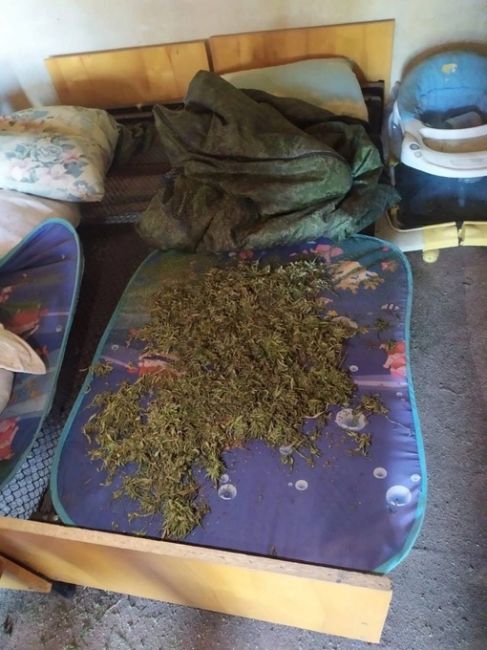 В Ростовской области мужчина сделал запас марихуаны на зиму

55-летний житель Новочеркасска подготовил для..