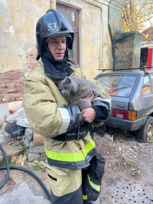 🥰Милых фотографий в вашу ленту от МЧС 

В руках бравых пожарных спасенные братья наши меньшие. Песика и еще..