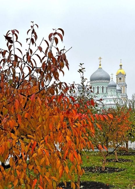 Золото осени в дивном Дивеево!
..