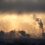 В омском воздухе была повышена концентрация пыли

Специалисты Обь-Иртышского УГМС в понедельник, 16 октября..