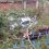 В Батайске на Куйбышева дерево раздавило три автомобиля 

Местные жители рассказали, что  давно жаловались..