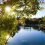 Красоты Японского сада. 

Фото: Пресс-служба парка..