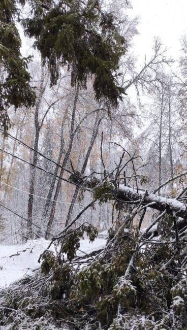 «Нижновэнерго» ликвидируют последствия непогоды.
⁣
Сейчас на объектах, на которых были зафиксированы..