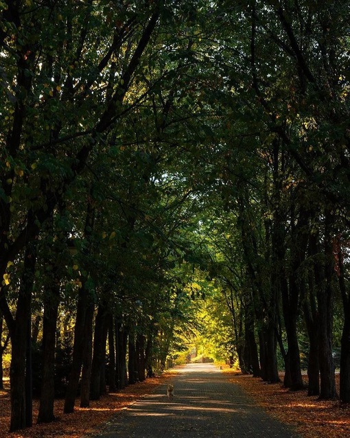 Ботанический сад 
Автор фото:..