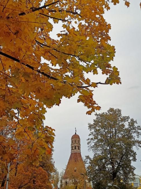 Осень в парке "Липки", ул. Восточная (м.Автозаводская) 
 
Фото: Ирина..