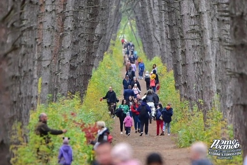 🌲 В Щепкинском лесу многолюдно, почти как на..