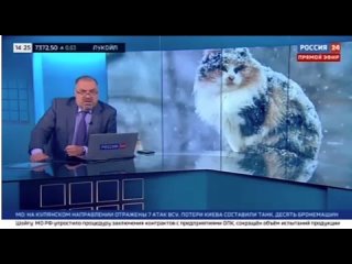 «Нижновэнерго» ликвидируют последствия непогоды.
⁣
Сейчас на объектах, на которых были зафиксированы..