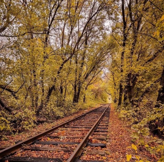 Осенняя атмосфера на железнодорожных путях «кладбища поездов» в Западном микрорайоне🍁

Очевидцы сообщают..