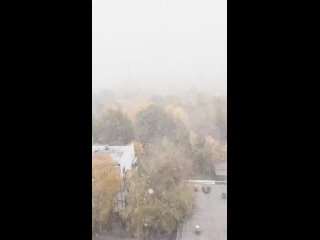 ❄️Погодка сегодня...

Москву засыпает..