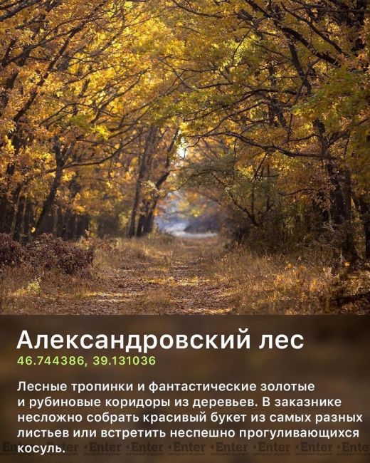 🍂 9 мест в Ростовской области для осенних..