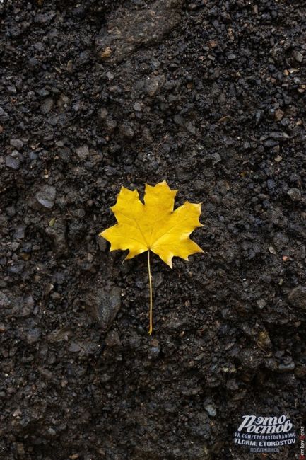 🍁Зoлoтая осень в Pocтове🍁

📸 Фото:Денис..